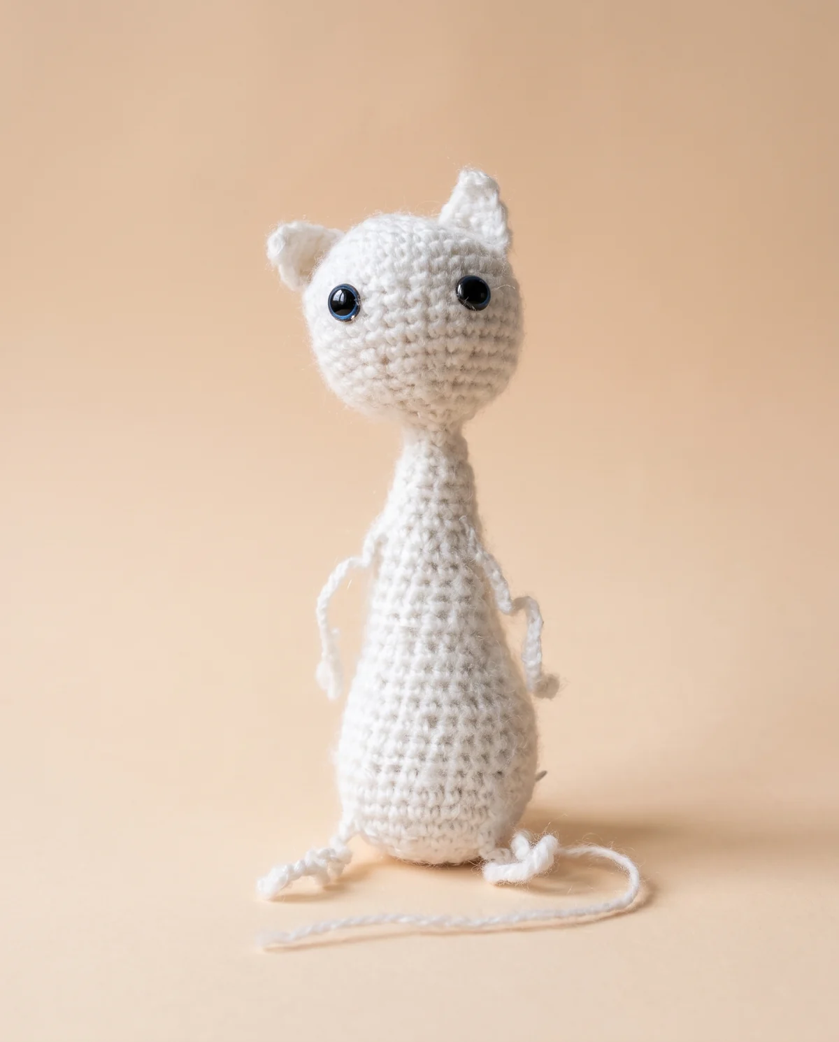 Floppy-Cat in an artistic studio presentation